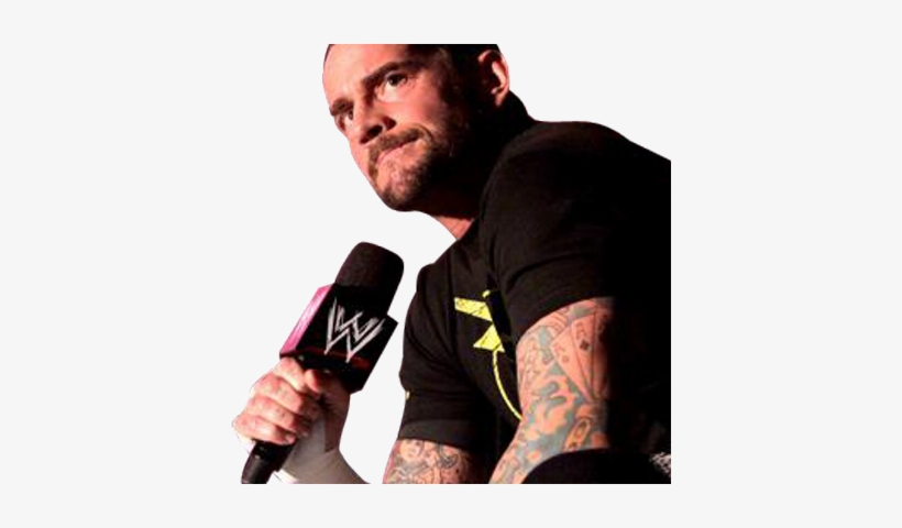 Fan Of Cm Punk - Wwe Home Video, transparent png download