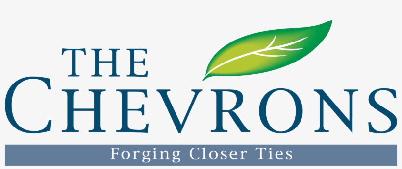 Chevron - Chevrons, transparent png download