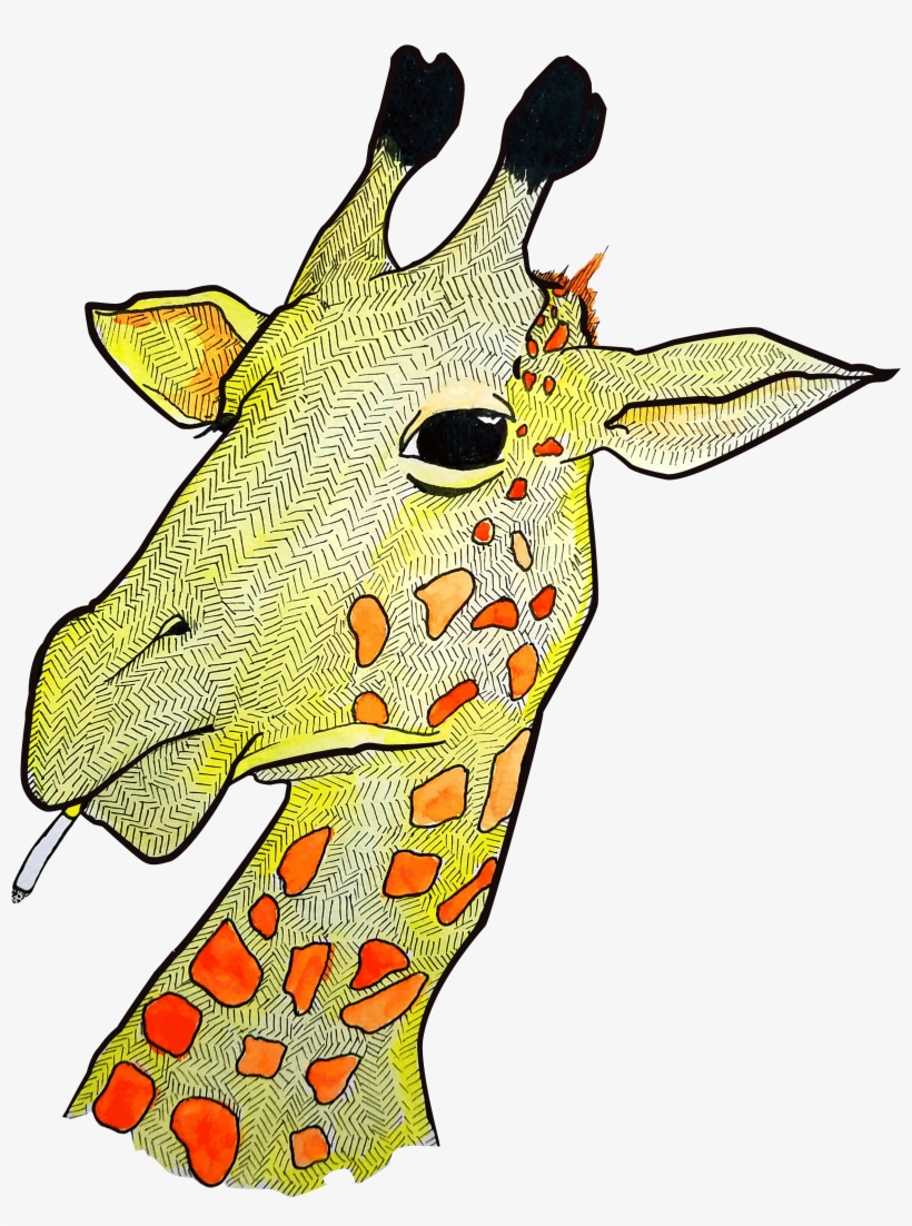Image - Giraffe Png, transparent png download