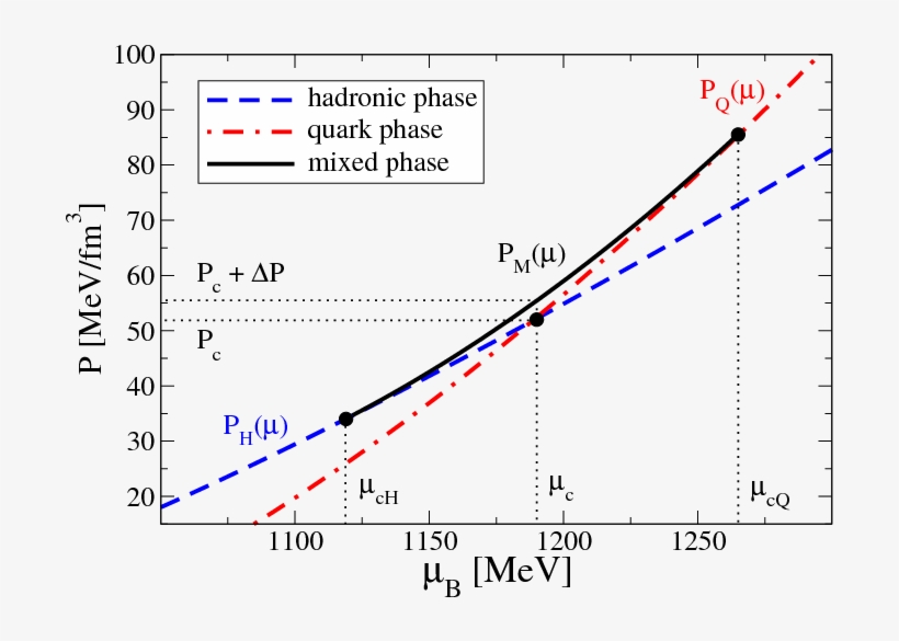 The Mixed Phase Construction For Given Hadronic Matter - Common Fig, transparent png download