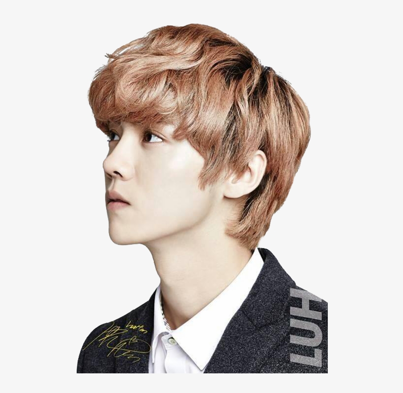 Description - Exo Ivy Club 2013, transparent png download