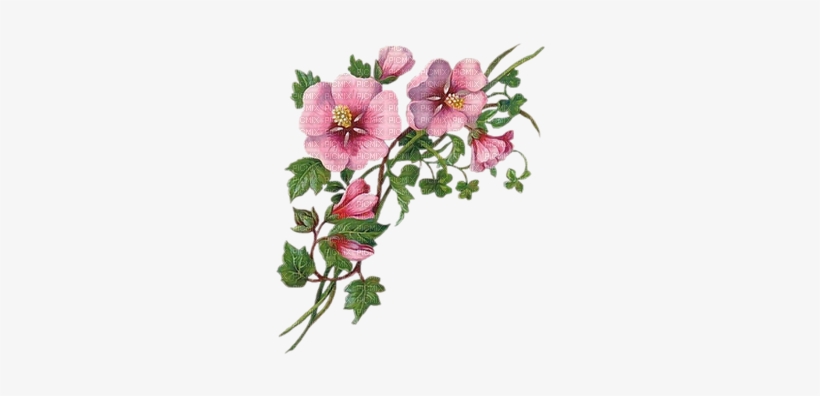 Soave Flowers Deco Pink Border Branch - Welcome To My Page Glitter, transparent png download