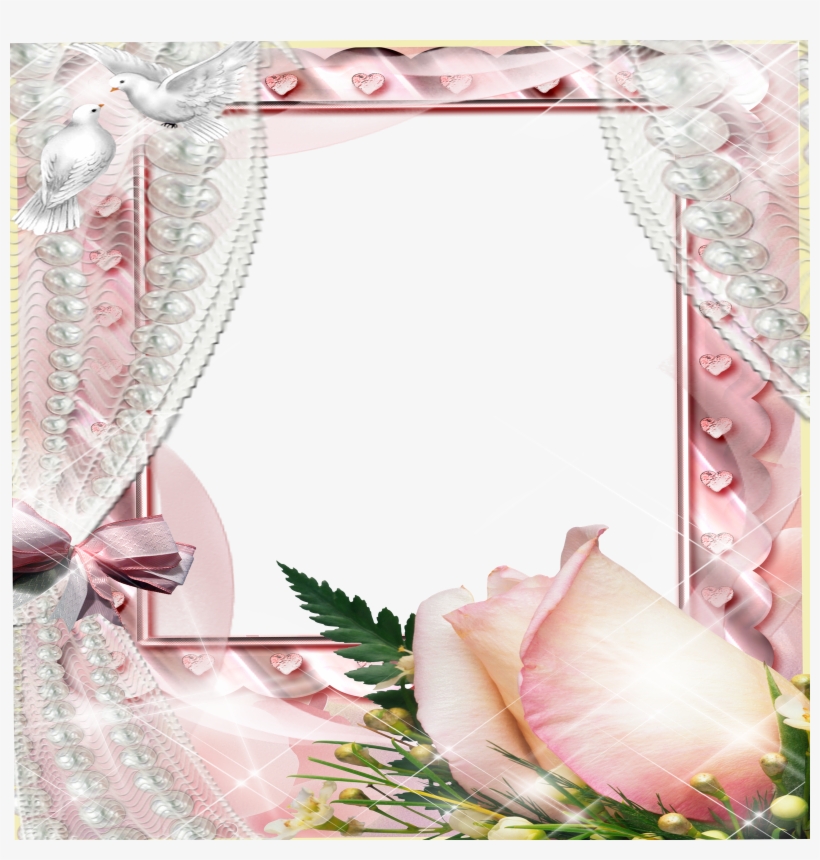 Frame Flowers Rose Flower Photo Frame Online Transparent PNG