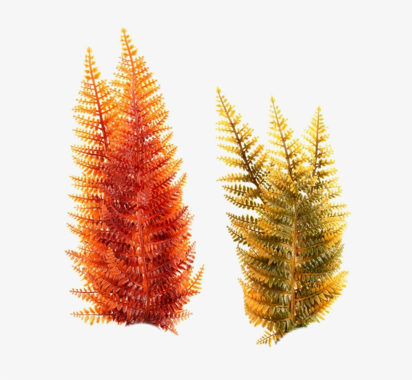 Underwater Plants, Sea Plants, Free Graphics, Photoshop, - Underwater Plants Png, transparent png download