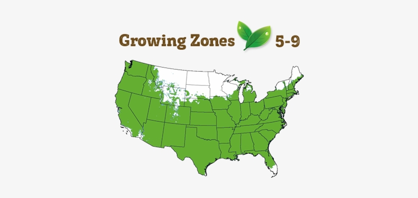 Shipping Restriction - West Nile Virus In Usa, transparent png download