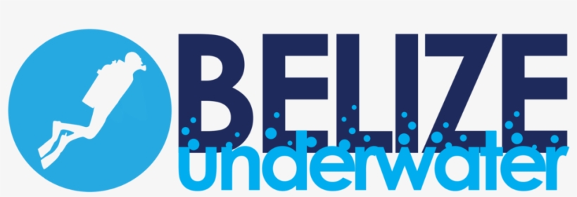 Belizeunderwater - Belize Underwater Logo, transparent png download