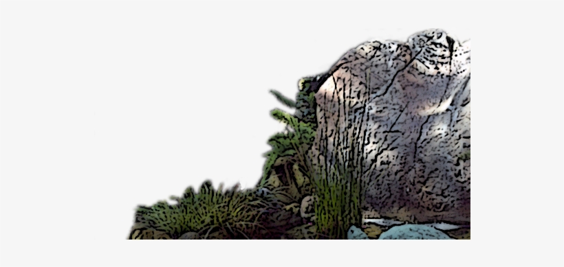 Rock Fountain - Album, transparent png download
