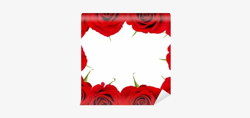 Rose Top View, transparent png download