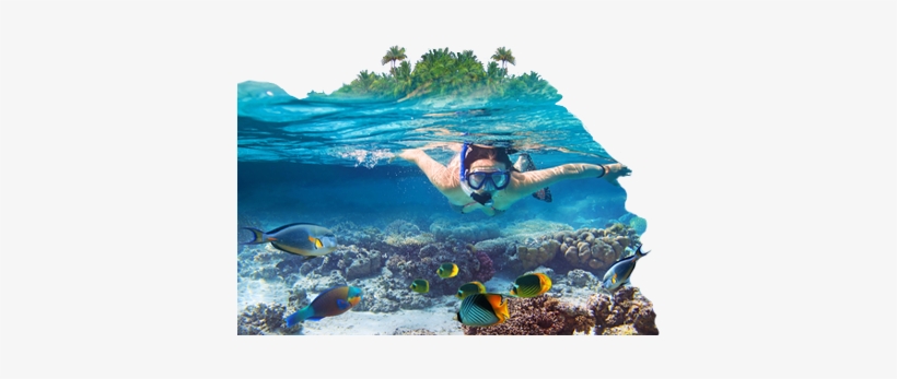 Underwater Activities - Sea In The Maldives, transparent png download