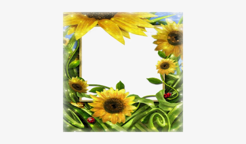 Transparent Frame Png Summer, transparent png download