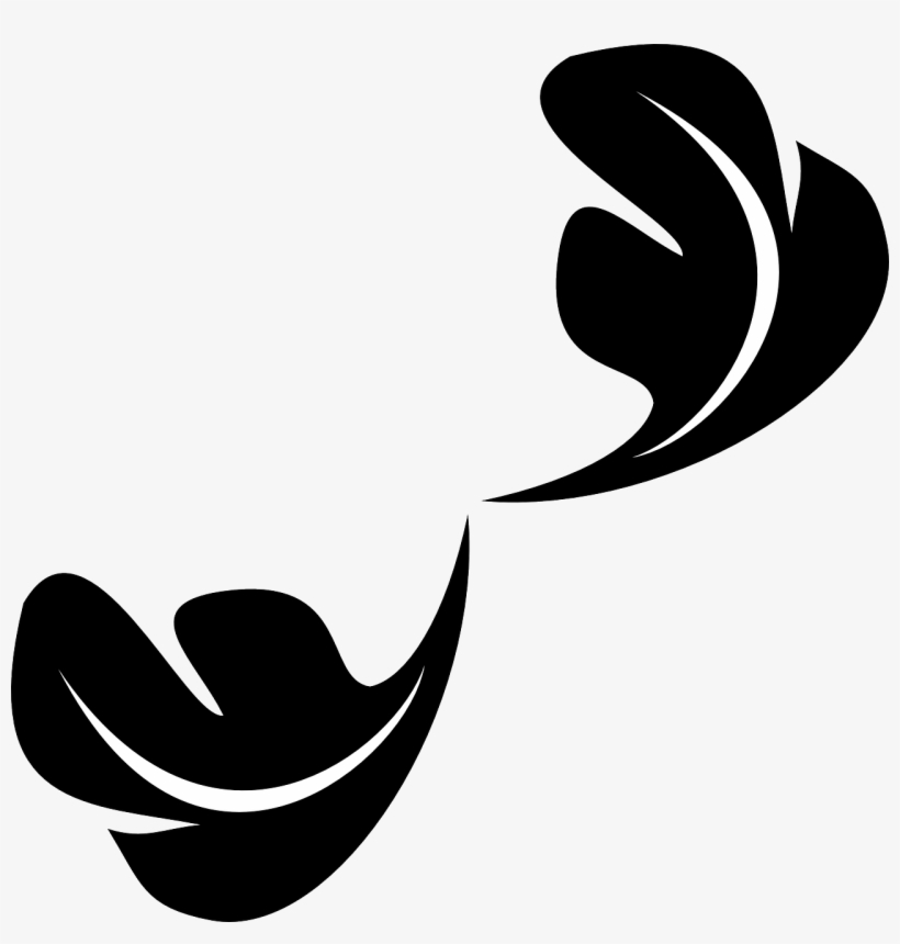 Feather Flying Soft Flourish Transparent Image - Leaf Ornament Png, transparent png download