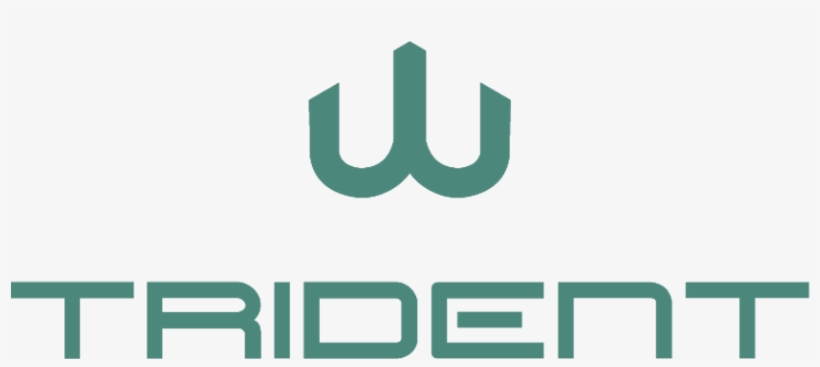 Worldwide Underwater Maritime Solutions Pressrelease - Trident Diving, transparent png download