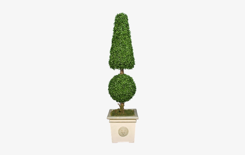 Topiary - Box, transparent png download