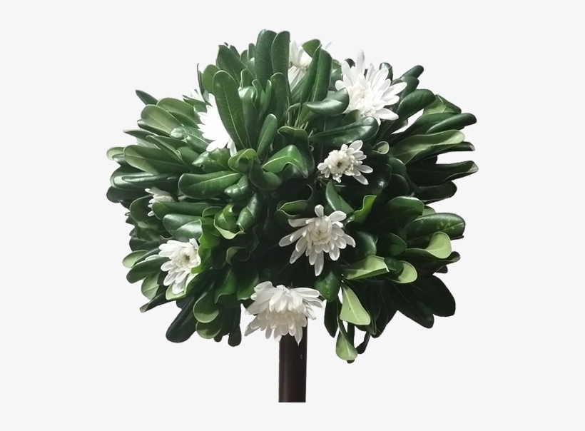 Topiary - Tokyo, transparent png download