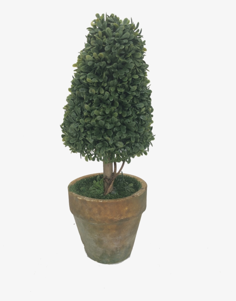 Potted Topiary - Potted Topiary Tree, transparent png download