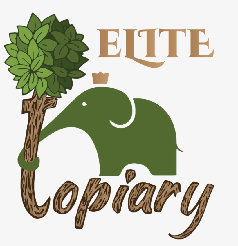 Topiary - Earth Mandala: Adult Coloring Book: Relax And Color, transparent png download