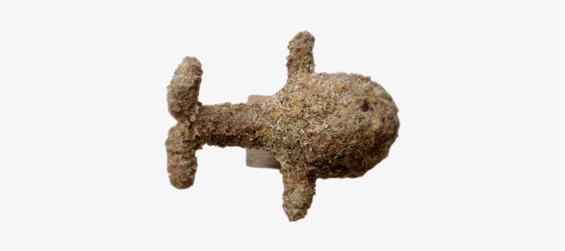 Small Whale Topiary Stuffed - Whales, transparent png download