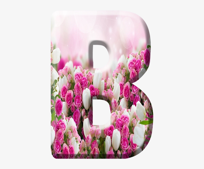 Blindada Por Deus - Mobile Phone Case, transparent png download