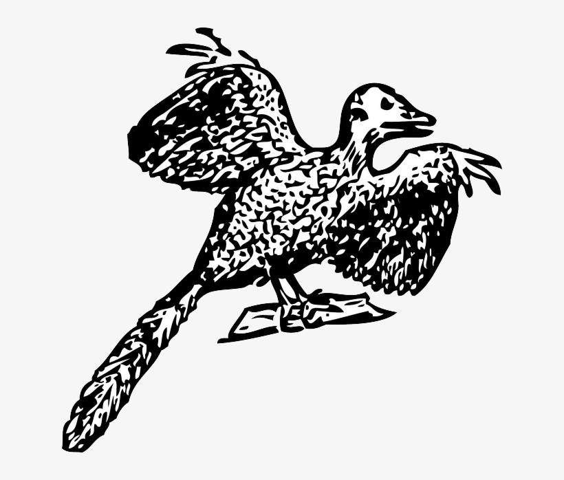 Image Freeuse Sparrow At Getdrawings Com Free For Personal - Bird Fossil Png, transparent png download