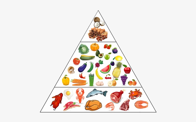 Pyramid food chart image