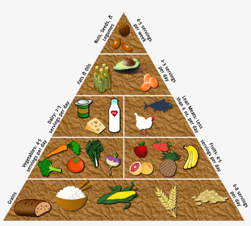 Hold An Event Where You Build The Food Pyramid With - Christmas Tree, transparent png download