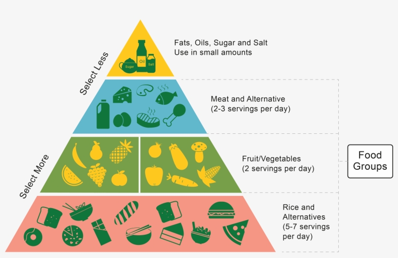 Healthy Living Worksheet, transparent png download