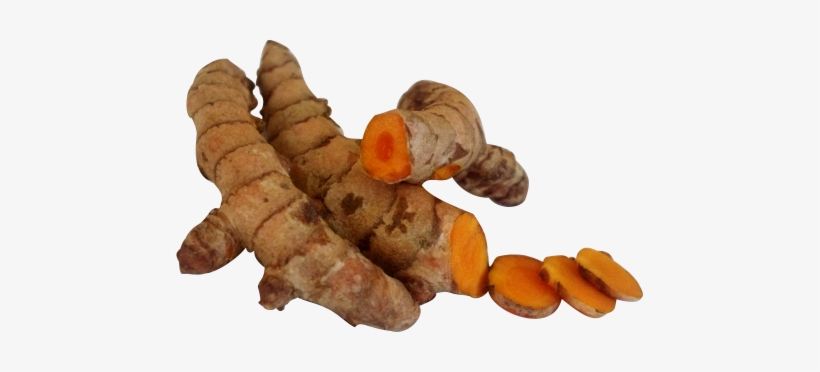 Turmeric Has Been Used In Asia And Particularly India - Morcón, transparent png download