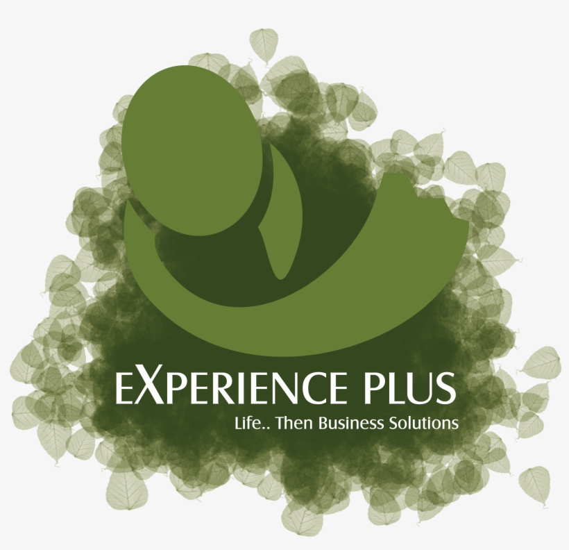 Experience plus