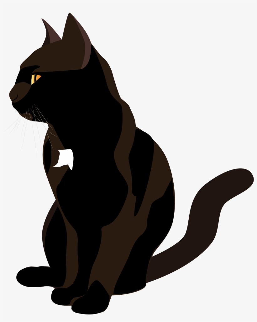 Chat Noir Seul - Black Cat, transparent png download
