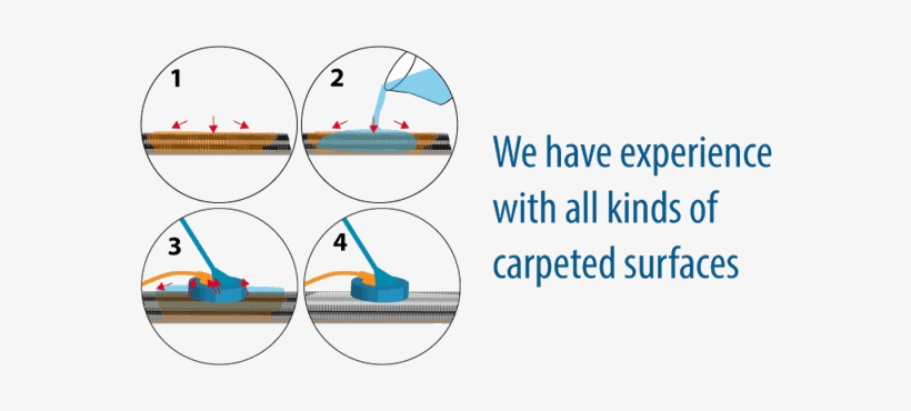 Pet Stain Removal Process2 - Hyperbolicity Of Projective Hypersurfaces, transparent png download