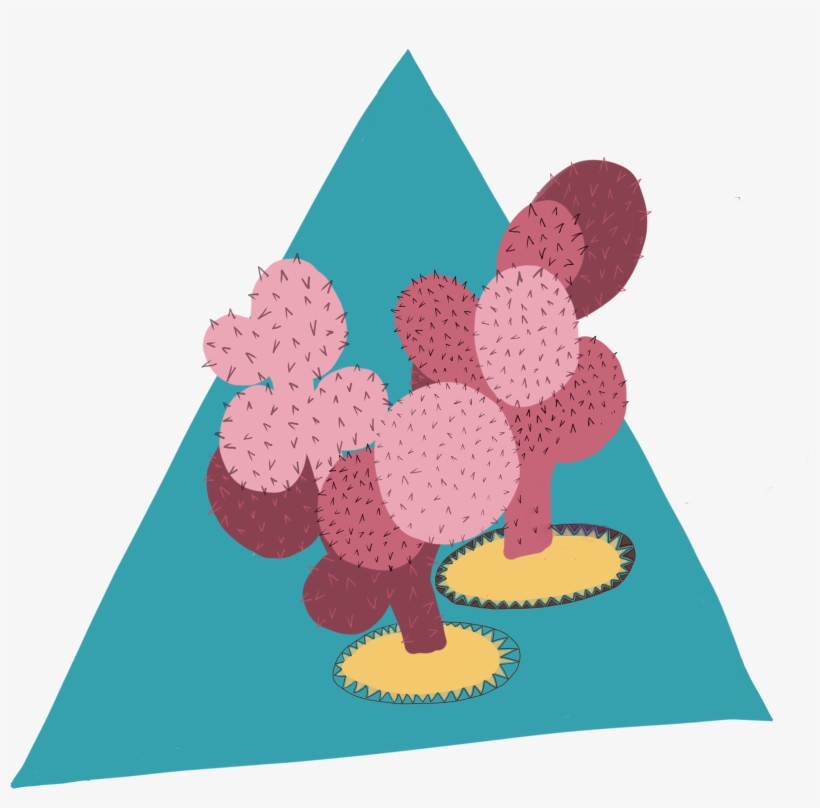 Cactus, transparent png download