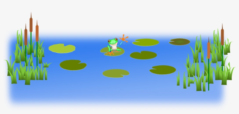 Graphic Stock Pond Free On Dumielauxepices Net - Swamp Transparent, transparent png download