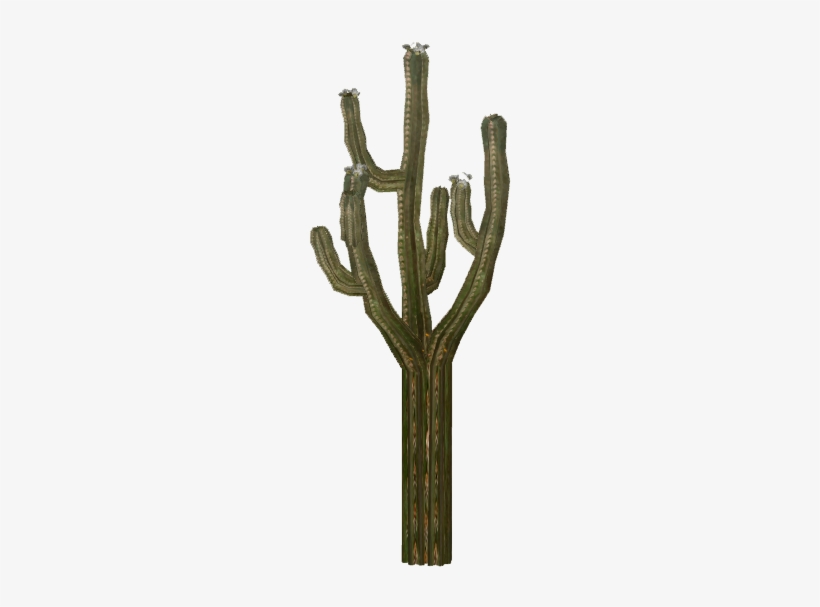 Cactus 5 - Wood, transparent png download