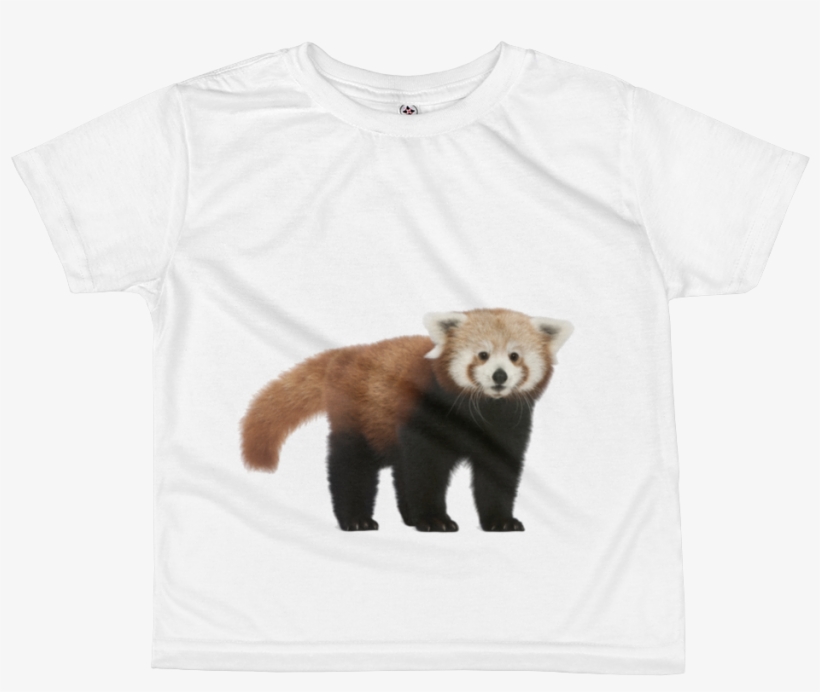 Red Panda Print All Over Kids Sublimation T Shirt - Raglan Sleeve, transparent png download