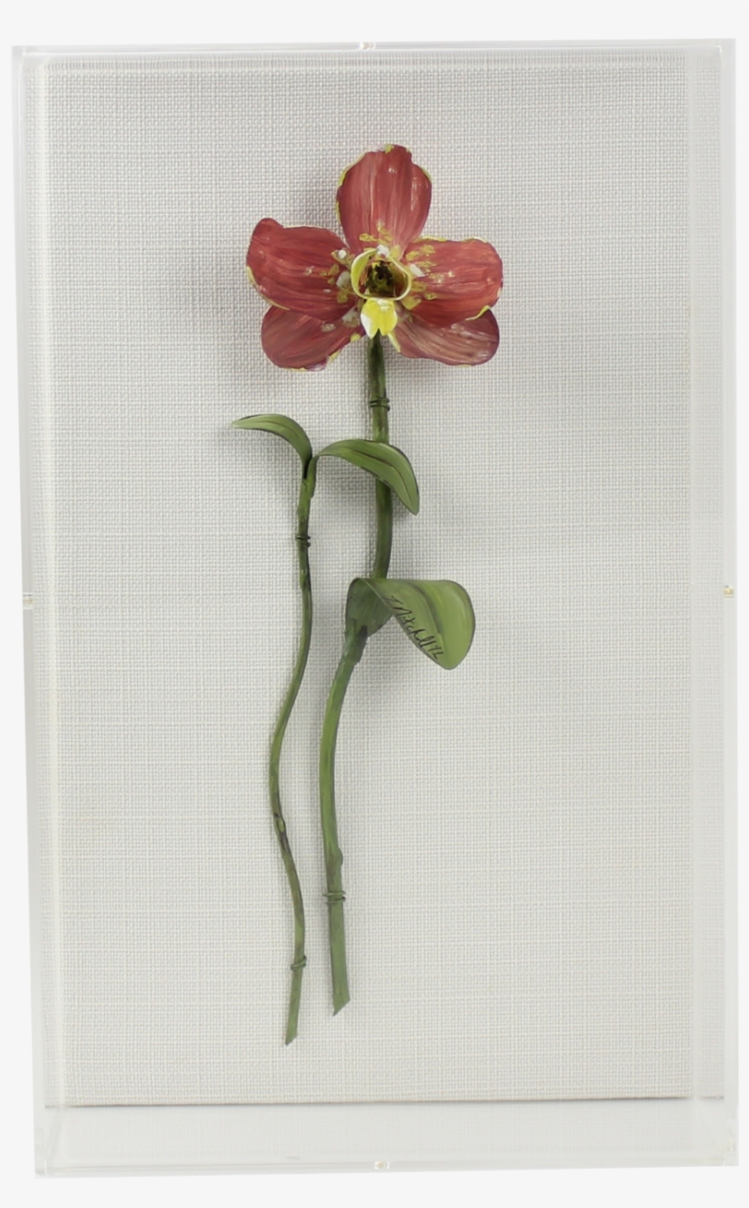 0008pos - Lily, transparent png download
