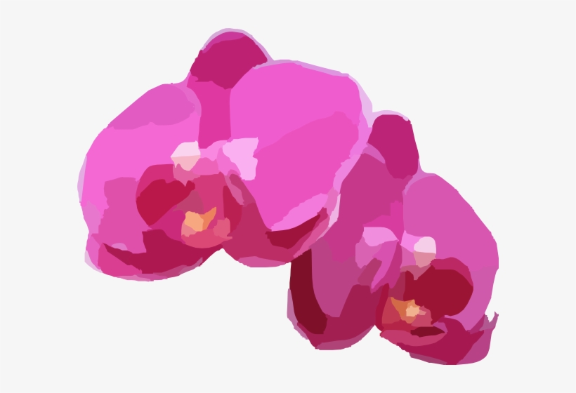 Two Pink Orchids Clip Art At Clker - Vector Image Orchid Png, transparent png download
