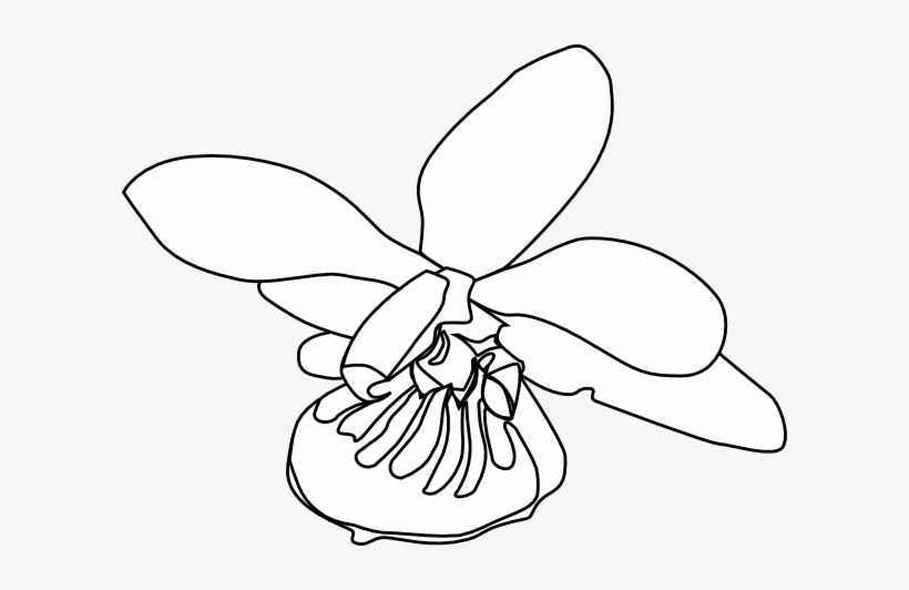 How To Set Use Orchid Clipart, transparent png download