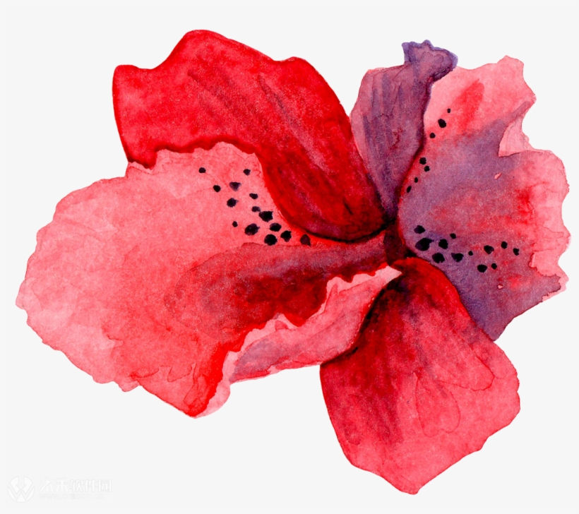 11084705 26aaeb0240 - Clip Art, transparent png download