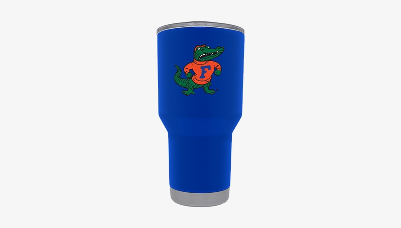 Florida Gators Mascot, transparent png download