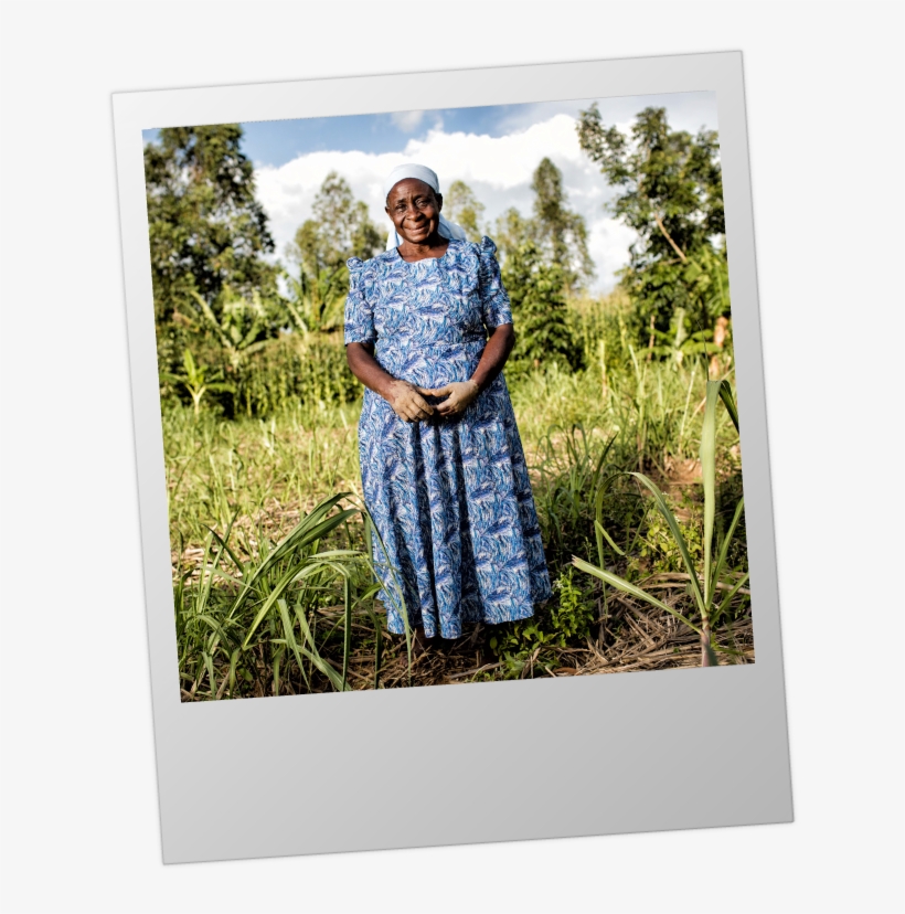 Individual-poloroid - Grass, transparent png download