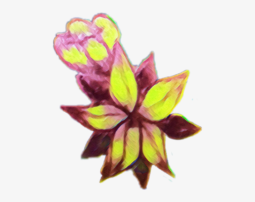 Still Life, transparent png download