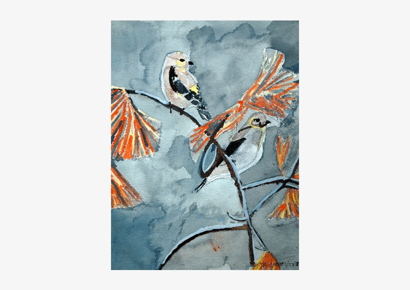 Watercolor Birds 2 - Watercolor Painting, transparent png download