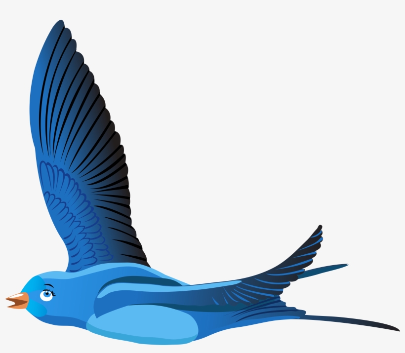 Cartoon Bird Png, transparent png download