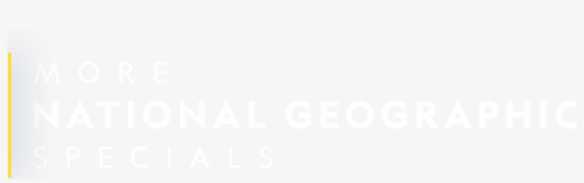 Watch More National Geographic Specials - Wrapping Paper, transparent png download
