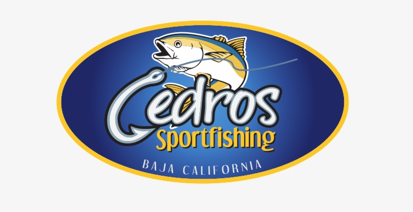 Cedros Sportfishing, transparent png download