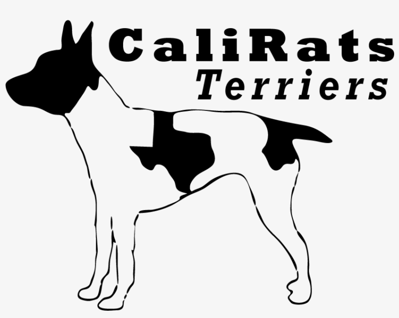 Texas, transparent png download