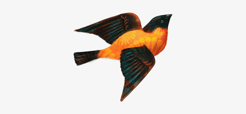 Wedding, transparent png download