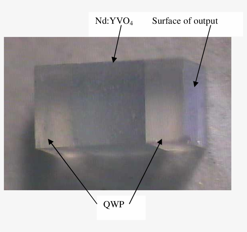 The Picture Of The Microchip Which Consisted Of Qwp - Common Fig, transparent png download
