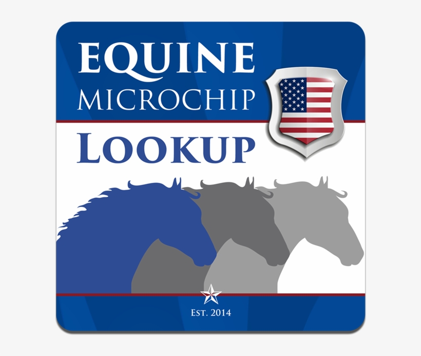 Equinemicrochiplookup - Org - Horse, transparent png download