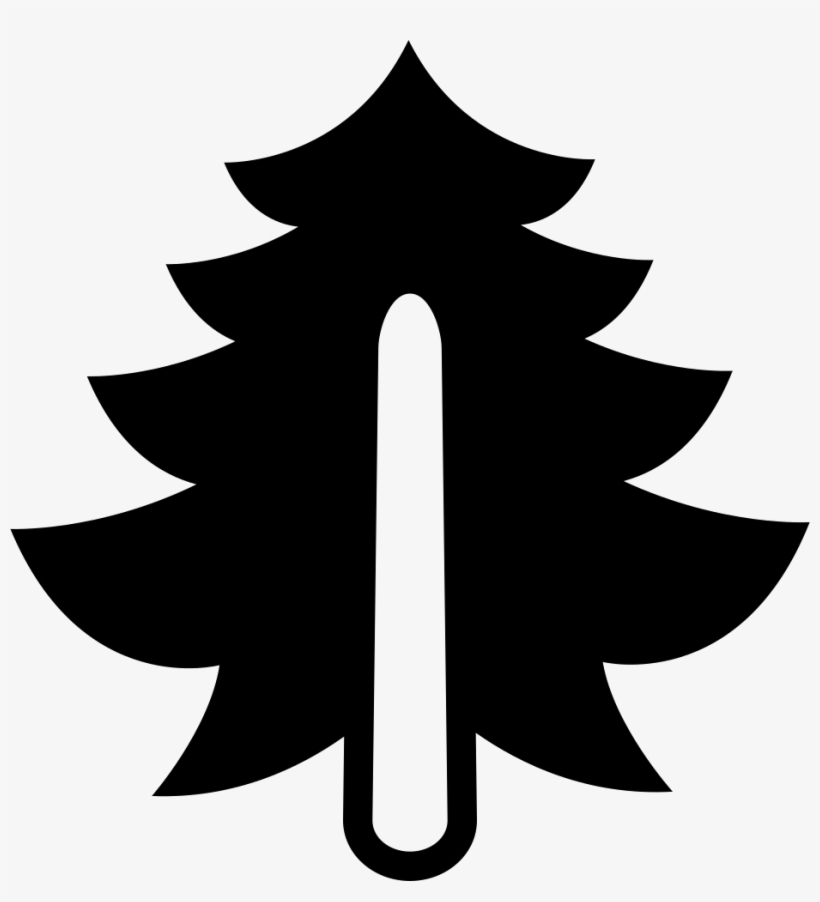 Pine Big Tree - Icon, transparent png download